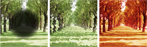 ＜視野の例＞写真